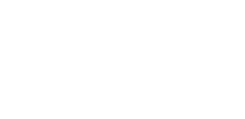 Frijns Administratieve en Fiscale zaken V.O.F.